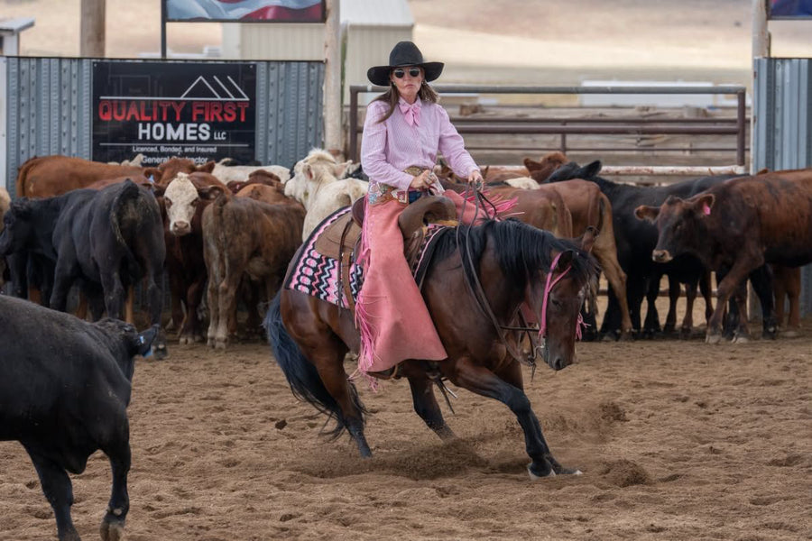 Horse wearing a show pad