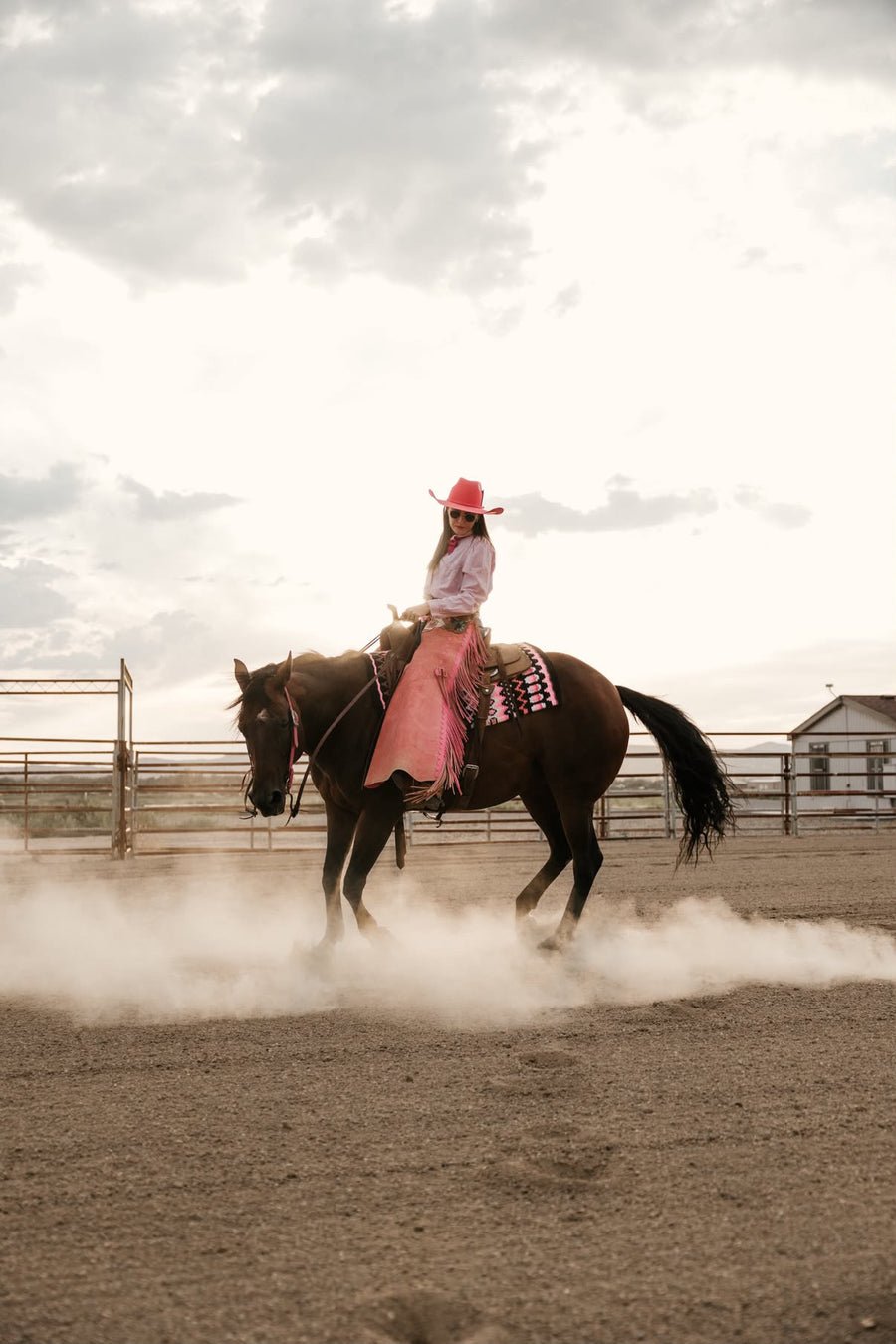 Horse show styling