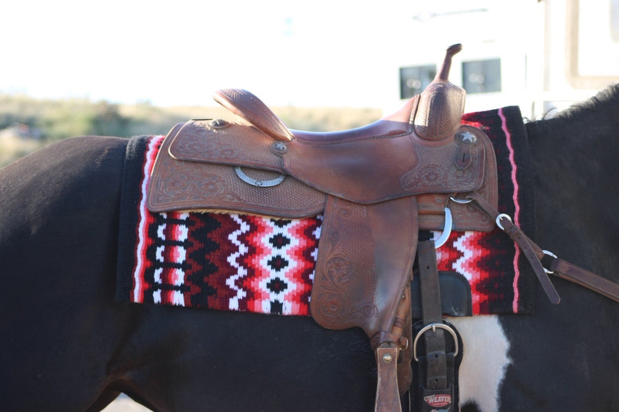 Horse wearing a show pad