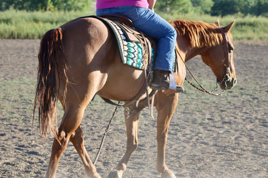 Luxury equestrian pad