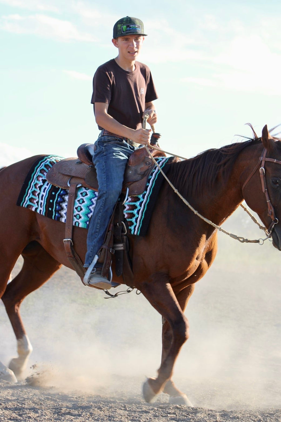 Horse show styling