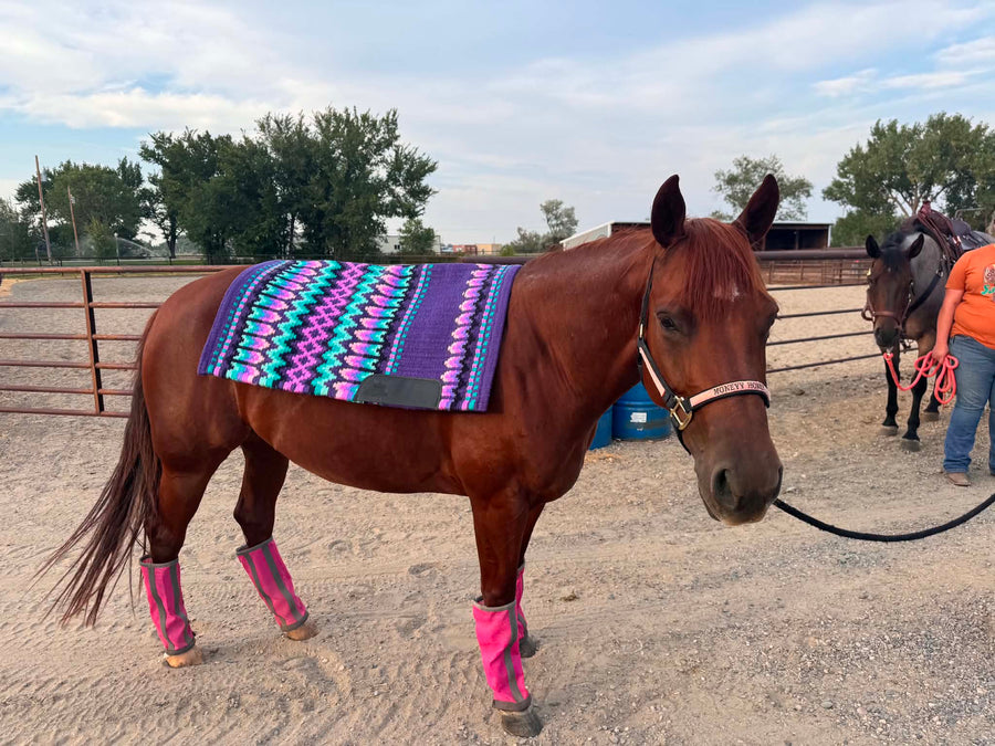 Luxury equestrian pad